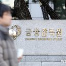 “코인 시세 조종과 불공정 거래 막는다”…금감원, 가상자산 전담조직 신설 이미지