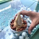 제주 한달살기 마무리 여행 : 우도 여행 솔직후기