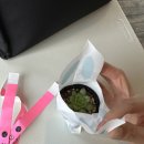 [육아] 아기랑 실내/외 체험 여행하기 좋은 용인 리프 플레이스 다녀온 후기