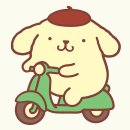 청춘 요가(60세 이상) | [2025.12.07] 화순 고인돌마라톤 대회 PB 달성 및 고인돌 될 뻔한 사건