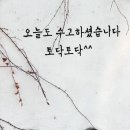 토닥토닥 이미지