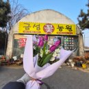 금성 | [상품후기] 선물하기 좋은 꽃다발이 가득한 금성꽃농원 후기