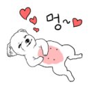미자애견
