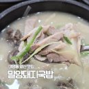 대구대명초등학교 | 대구 대명동 앞산 맛집 남구 한식 밀양돼지국밥