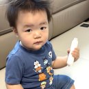 손톱집 - 춘천시 스무숲1길 13 | 프로살림 신생아 손톱 네일트리머 솔직 후기