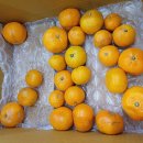 대보농장 이미지