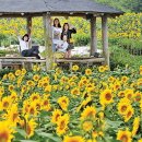 보물농장 이미지