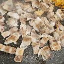 대패생각 하양점 이미지