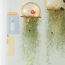 마크라메 플랜트 행잉 DIY 이미지