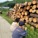 아이펜션 이미지