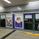 석남서울치과 이미지