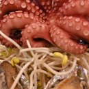 복마차 이미지