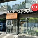 전주 동물병원 올리몰스에서 7살 고양이 후추 첫 건강검진 후기