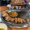 맛고 | 부산연산동맛집 맛고(맛있는 고기집) 이베리코 늑간살 솔직 후기