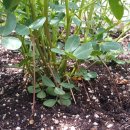 초읍초등학교 이미지