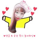 킹렌트카 이미지