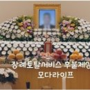 모다라이프