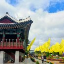 인천계양 아라온(가을꽃트레킹) 이미지