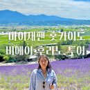 마이재팬 홋카이도 | [마이재팬 홋카이도 비에이 후라노 투어] 삿포로 근교 투어 후기