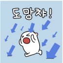 마인드에스제이 이미지