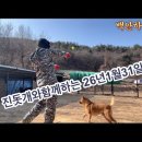 진돗개와함께하는 1월31일 이미지