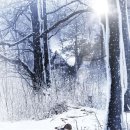 위스퍼(Whisper)