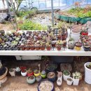 미옥농장 이미지