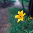 바다와솔숲 이미지