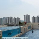 씨티PC | [충북/청주] 청주 유일 5성급 호텔 수영장+숙박 내돈내산 후기 ; 엔포드 호텔