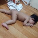 쟁이 이미지