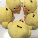 해운대 백선생김밥 내돈내산 솔직후기!!