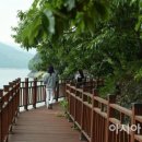 장성호수변길 이미지