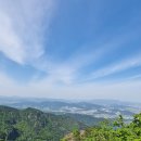 늑대와 여우 이미지