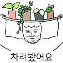 쎄드데플란타 이미지