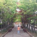 클레이 아트 | [김해_클레이아트미술관] 경남 김해 아이와 함께 방문하기 좋은 실내 미술관 추천