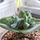 아랫기천 이미지