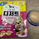 야옹아 멍멍해봐 양주점 이미지