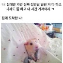 엄지네닭볶음탕 | 너와의 모든 지금