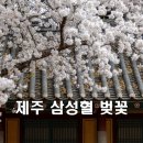 (주)제주랑 이미지