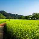 주식회사 금강자동차 이미지