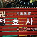 정효사