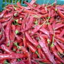 우성농원 이미지