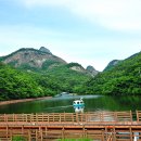 영젠 티스토리