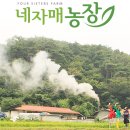 차식농장 이미지