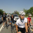 부산(신녕) 이미지