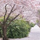 6705 | 대구 감삼역 점심 맛집 육반장｜해장에 좋은 얼큰 육개장 삼겹수육 후기