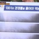 열하루식당 이미지