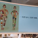 아동요리지도사 2급 이미지