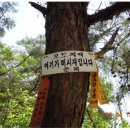 매봉1리경로당 | 오토지맥 a