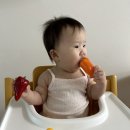 남천도원한의원 | [2023.08.07] 싹싹이D+330_싹싹 컨디션 회복 / 파프리카 브로콜리 스틱🥦 / 향자 한의원 방문